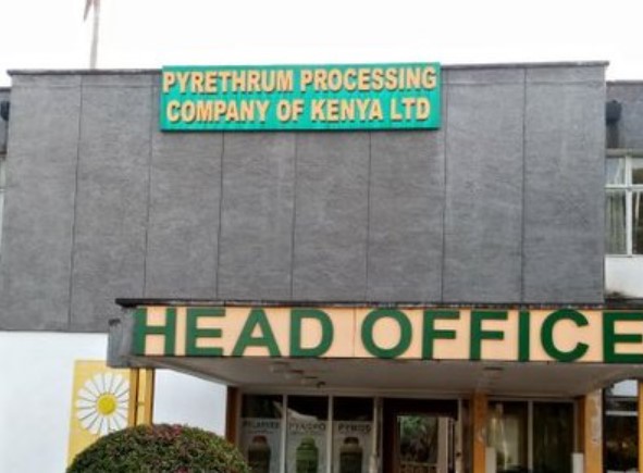 Ruto Appoints Joe Owaka Pyrethrum Processing Company Of Kenya Chair